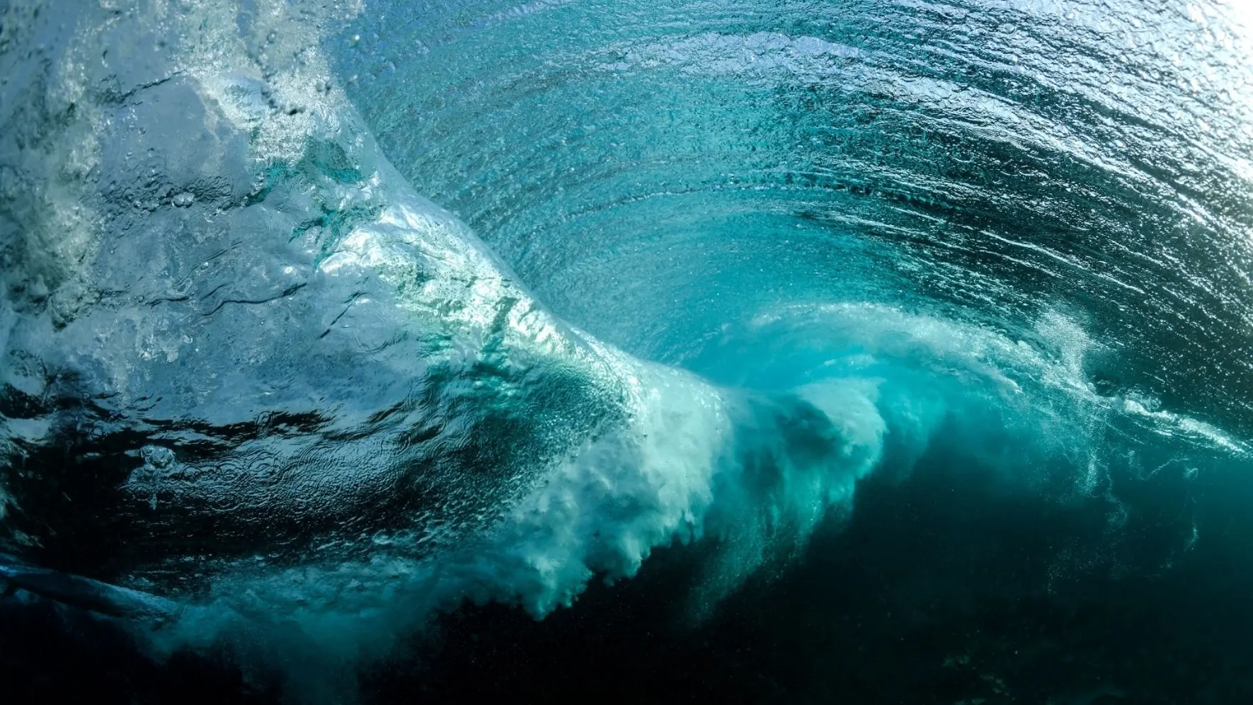 Фото: RugliG / shutterstock.com