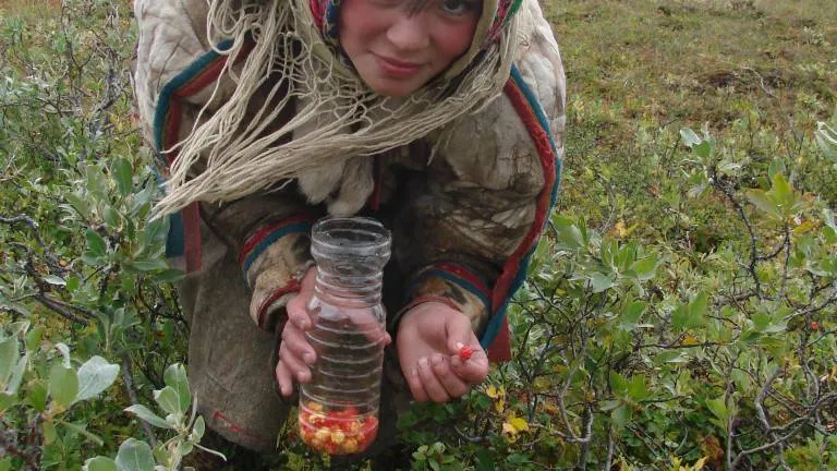 Фото: Марина Яр / «Красный Север»