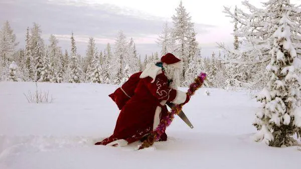 Фото: Александр Бейфус / КРАСНЫЙ СЕВЕР