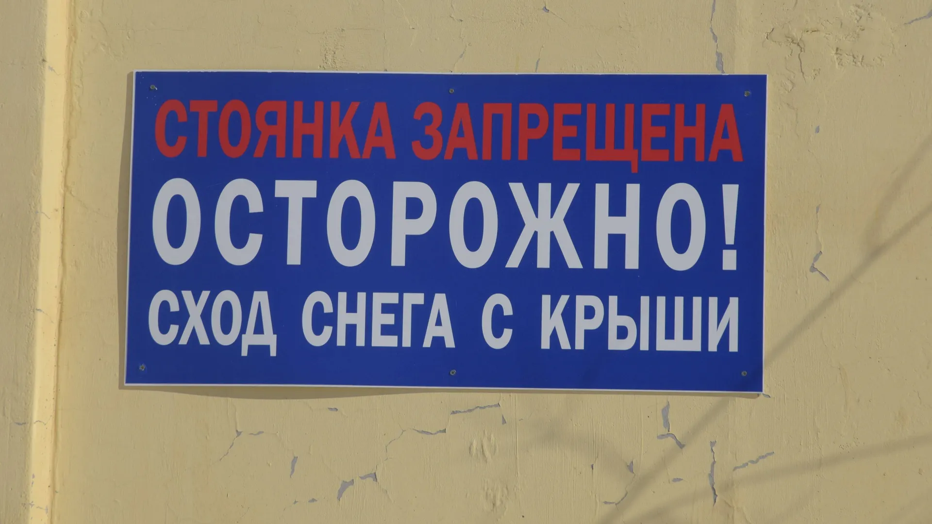 Фото: Андрей Ткачёв / «Красный Север»