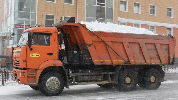 Фото: Андрей Ткачёв / «Красный Север»