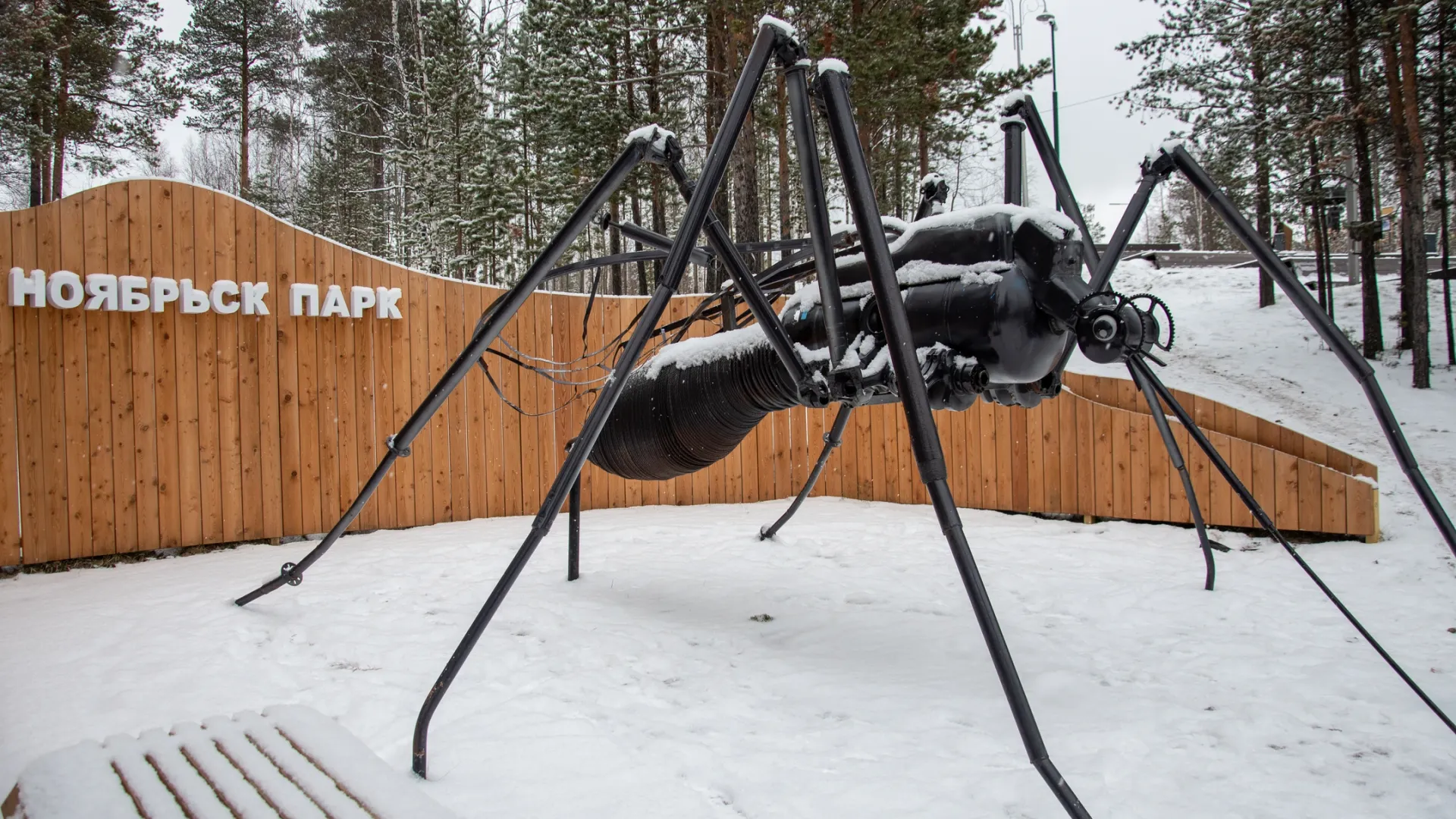 Комар Валера в Ноябрьске тоже немного замерз.