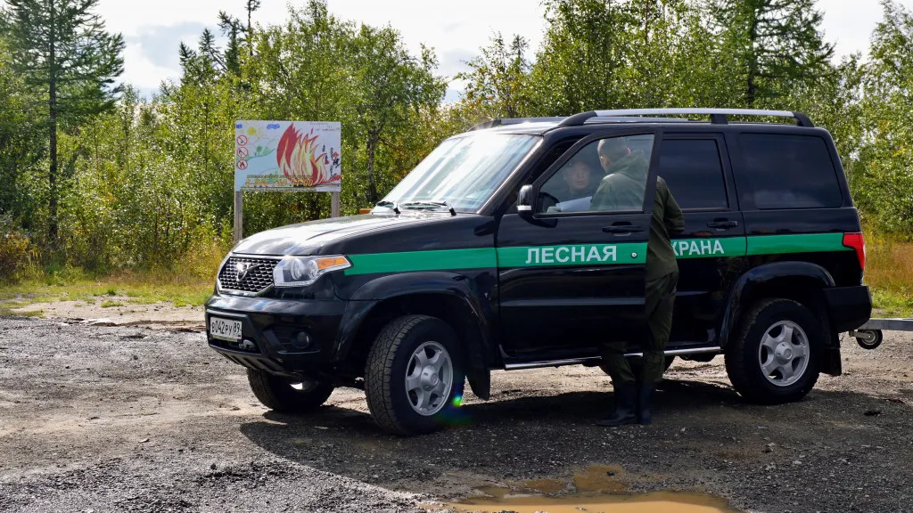Фото: Михаил Пустовой / «Красный Север»