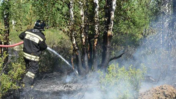 Фото: Ольга Крикливец / «Красный Север»