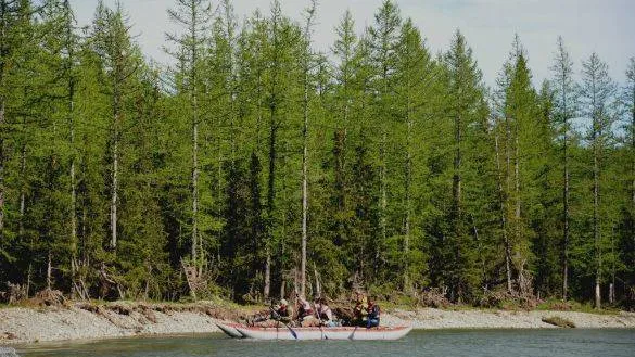 Фото: Александр Бейфус