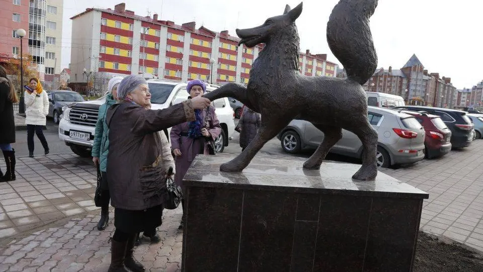 Фото: Андрей Ткачёв / «Красный Север»