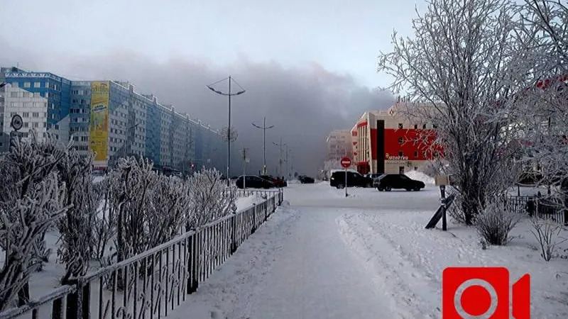 Фото: Надежда Хабаза / КРАСНЫЙ СЕВЕР