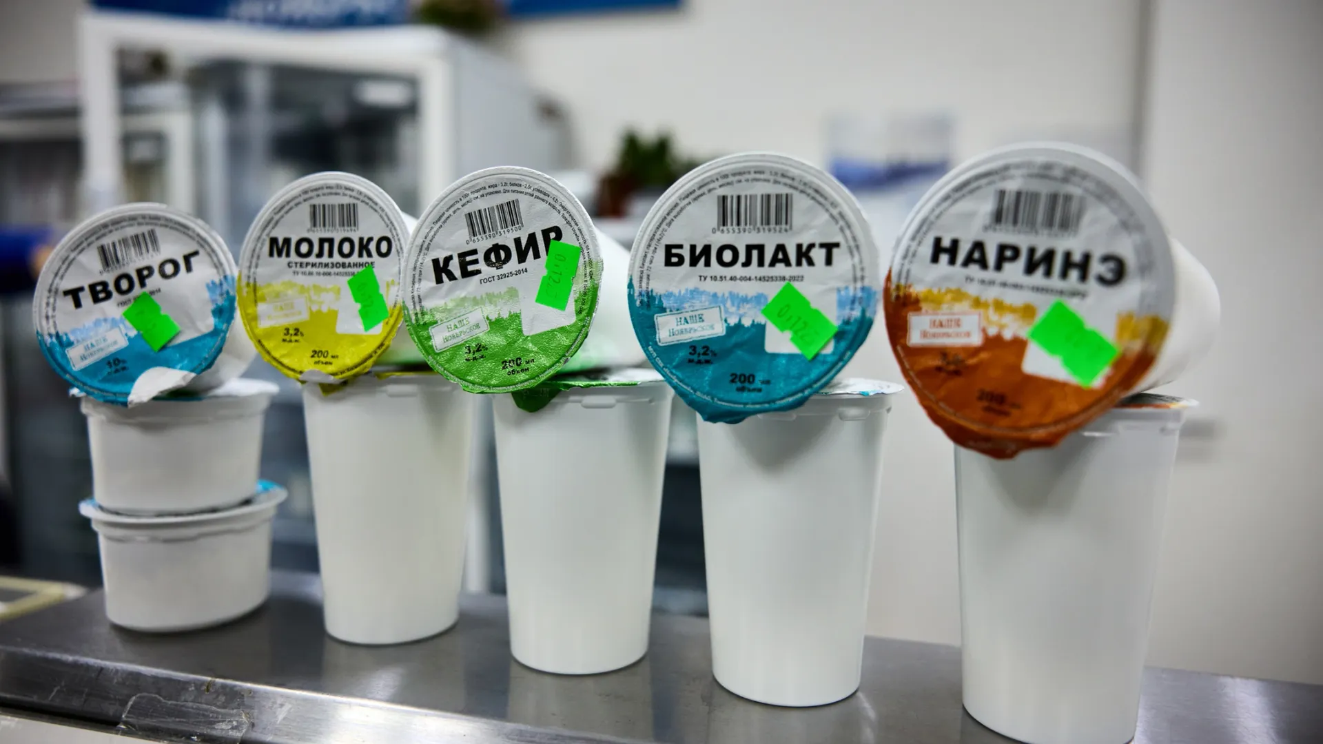 Для малышей. Фото: Юрий Здебский /«Ямал-Медиа»