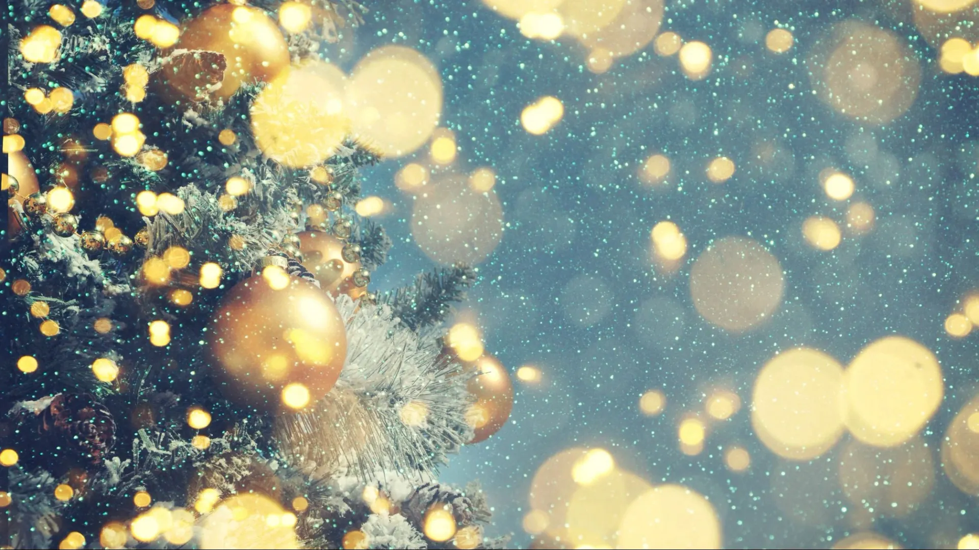 Фото: Guschenkova/Shutterstock/Fotodom