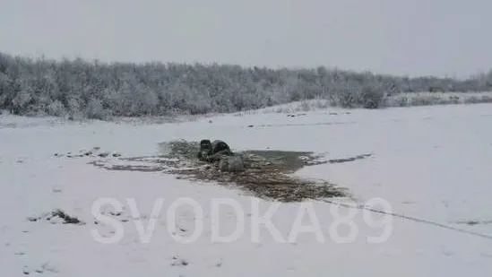 Источник: svodka89