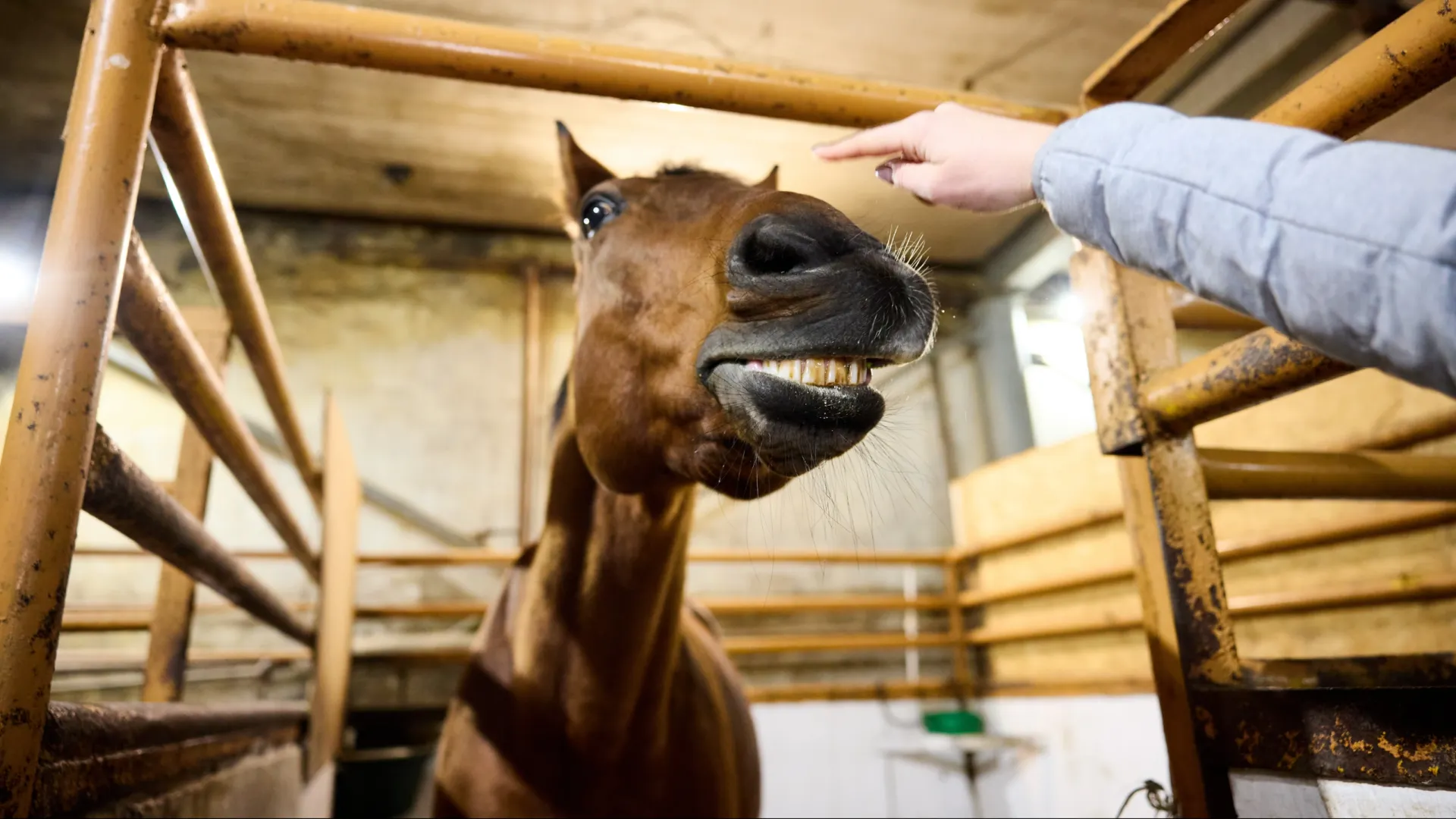 Улыбайтесь, вам это идет. Фото: Юрий Здебский / «Ямал-Медиа»