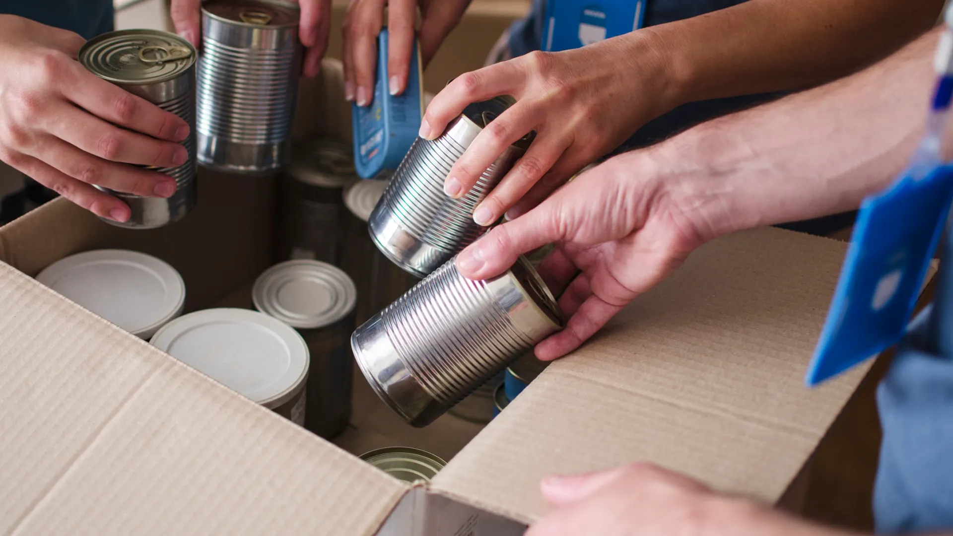 Фото: Pearl PhotoPix / Shutterstock / Fotodom