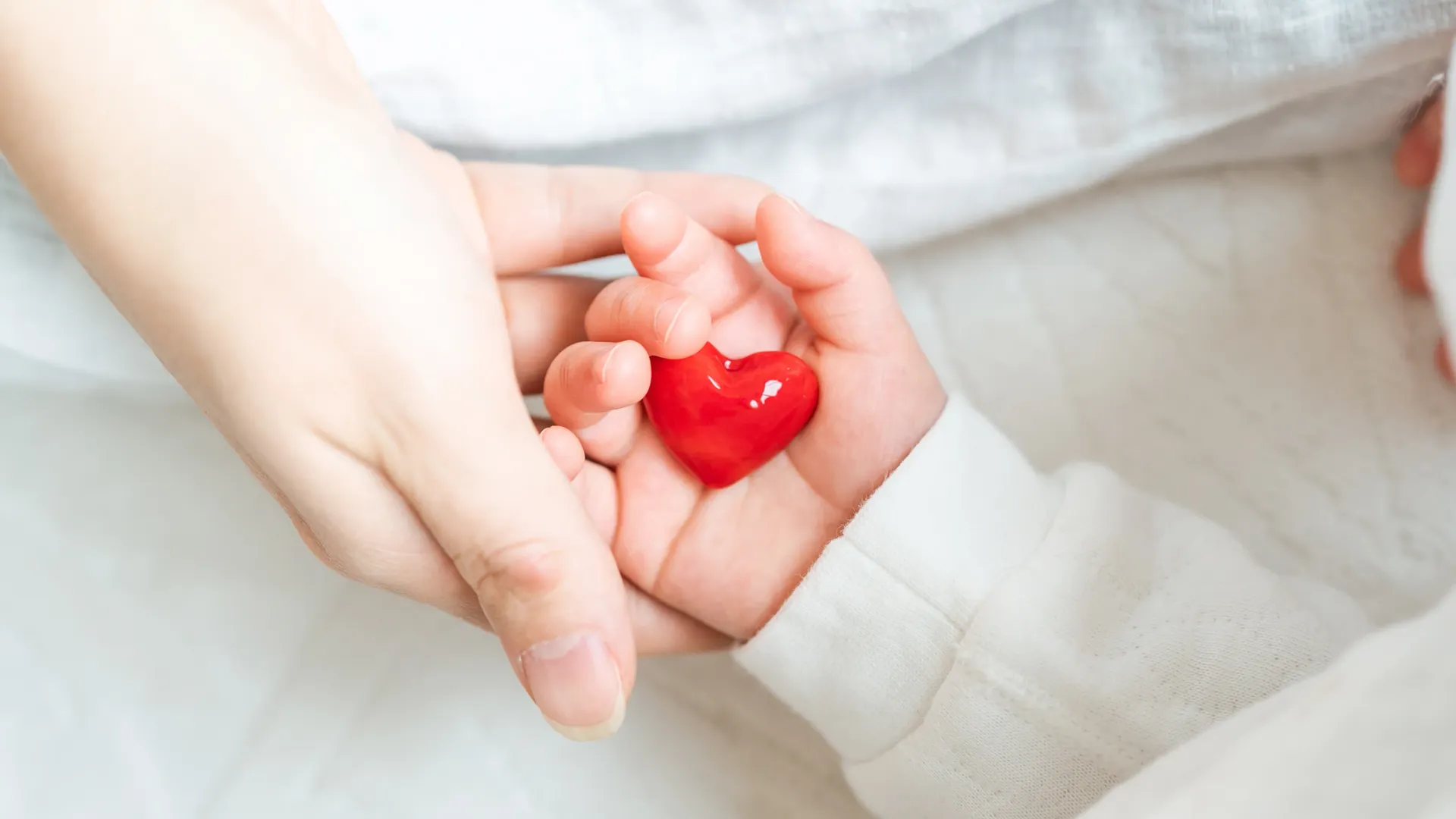 Фото: metamorworks/Shutterstock/Fotodom