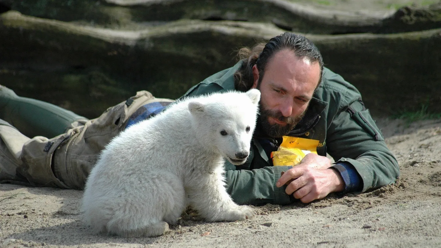 Медвежонок Кнут и его лучший друг Томас Дёрфляйн. Фото: 360b/Shutterstock/Fotodom