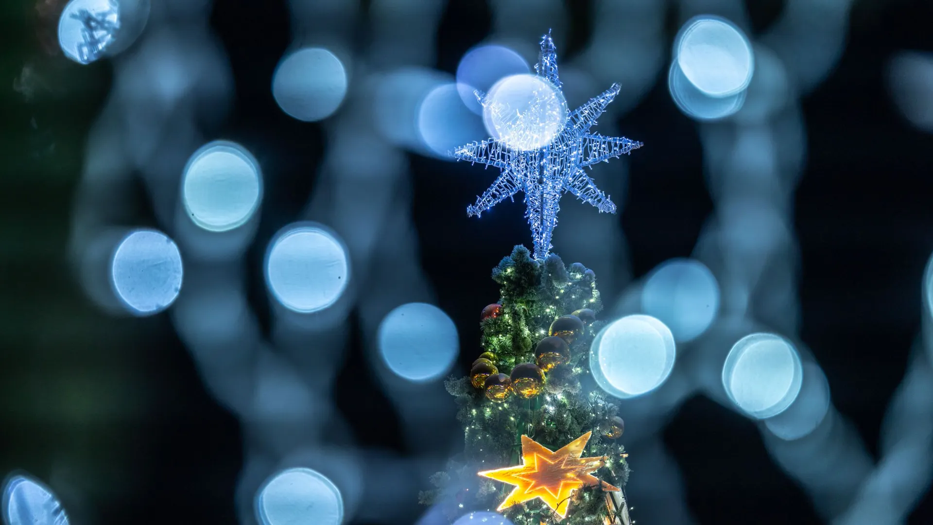 Фото: Фёдор Воронов / "Ямал-Медиа"