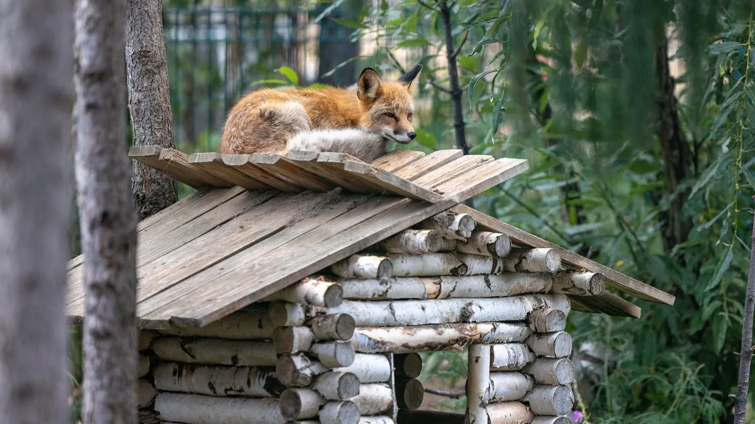 Фото: Сергей Зубков / «Ямал-Медиа»