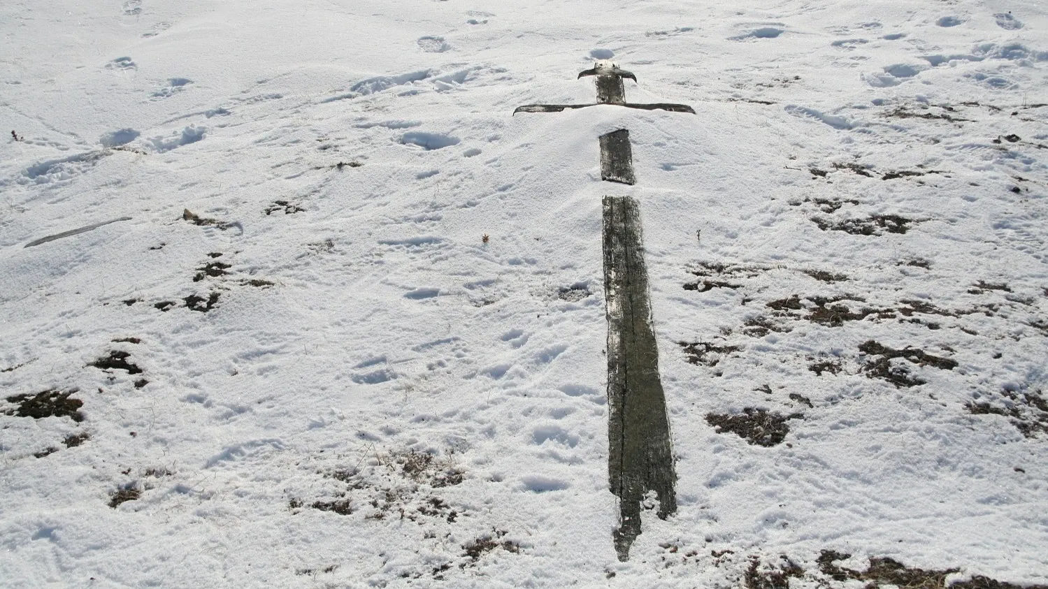 Фото: предоставлено из личного архива Михаила Денисова