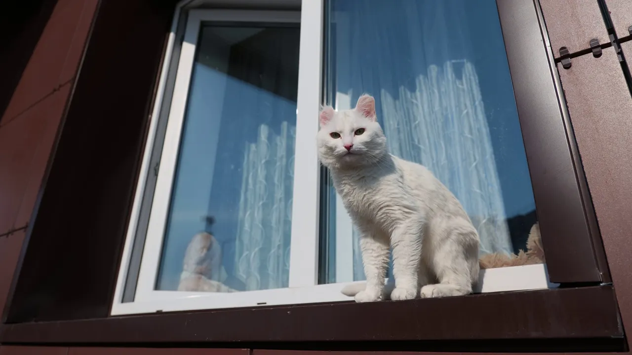 Фото: пресс-служба губернатора ЯНАО