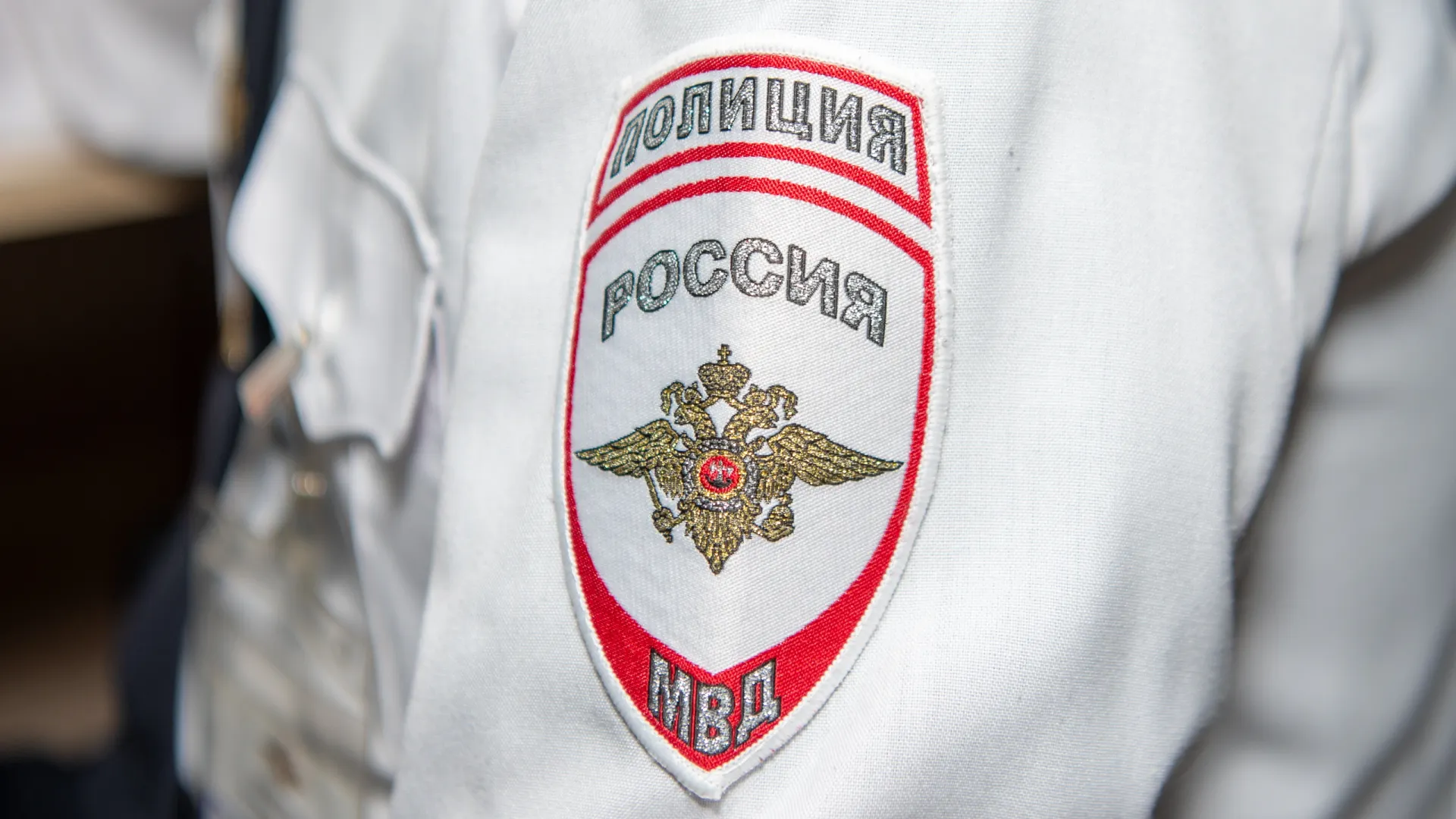 Фото: Юрий Здебский / «Ямал-Медиа»
