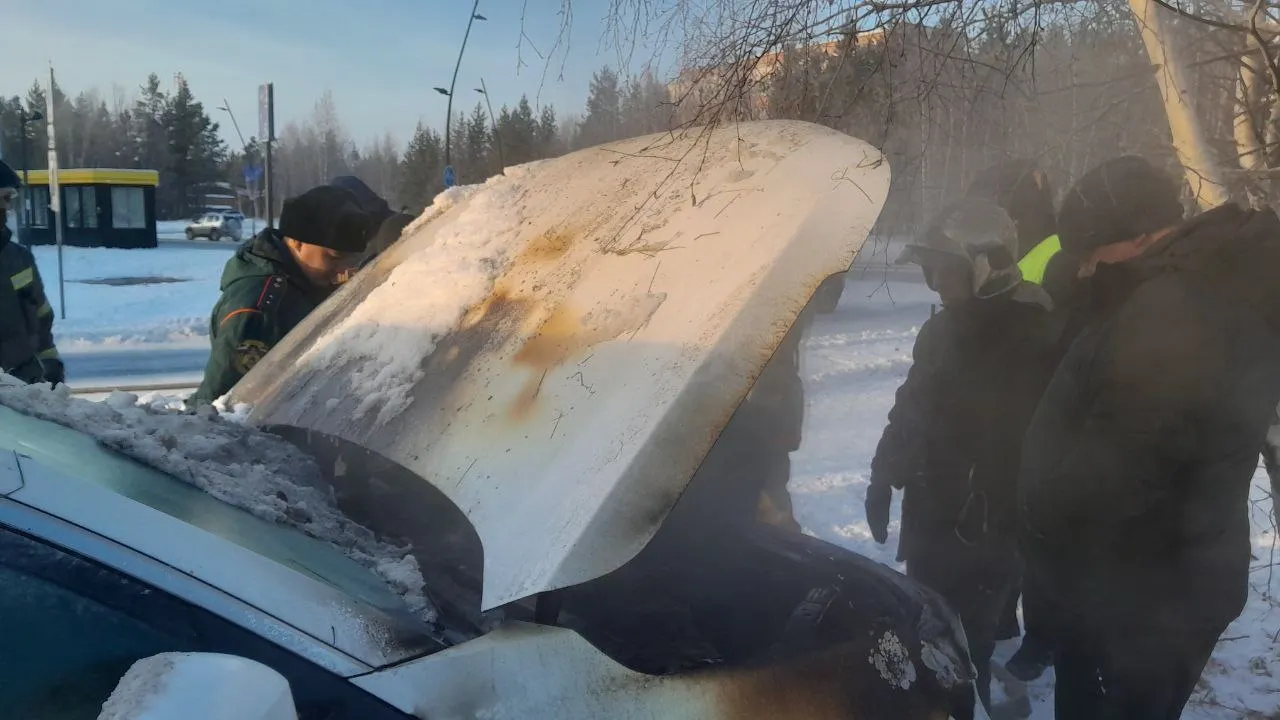 Фото: Роман Лузанов / «Ямал-Медиа»