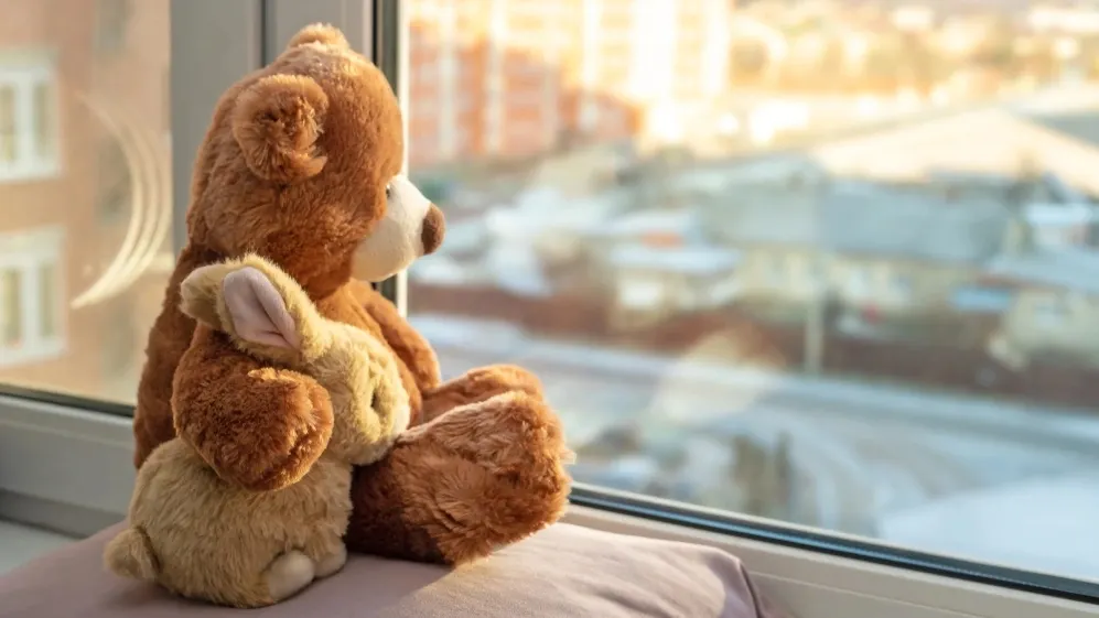 Игры у раскрытого окна могли закончиться плачевно. Фото: Vyaseleva Elena / shutterstock.com / Fotodom