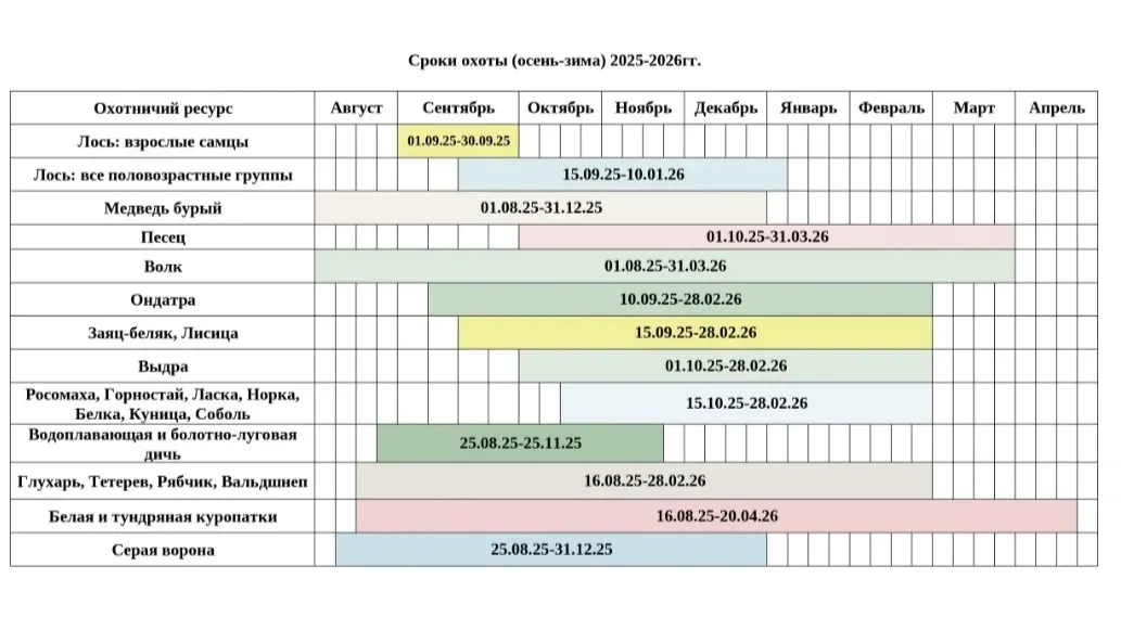Сроки охоты осенью и зимой 2025-2026 гг. Фото: Служба по охране биоресурсов ЯНАО