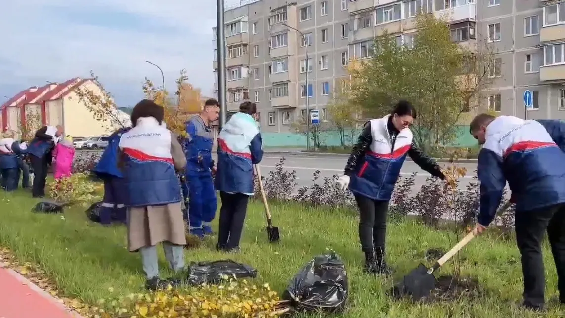 Все деревья посажены с любовью, а значит, обязательно приживутся, отметил глава Ноябрьска. Фото: кадр из видео со страницы vk.com/romanov_av89