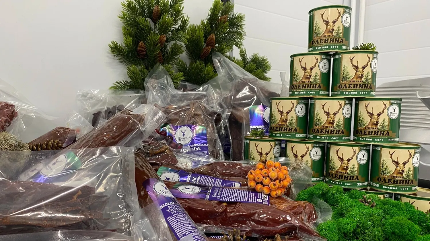 Фото: Анастасия Ульянова / "Ямал-Медиа"