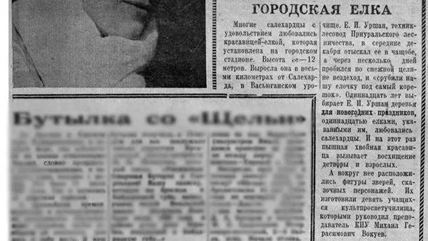 Фото из архива «Красного Севера»