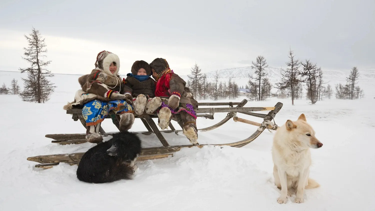 Фото: longtaildog / shutterstock.com / Fotodom