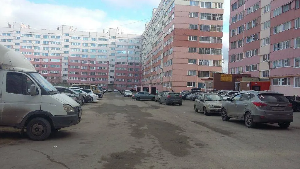 Надежда Хабаза / КРАСНЫЙ СЕВЕР