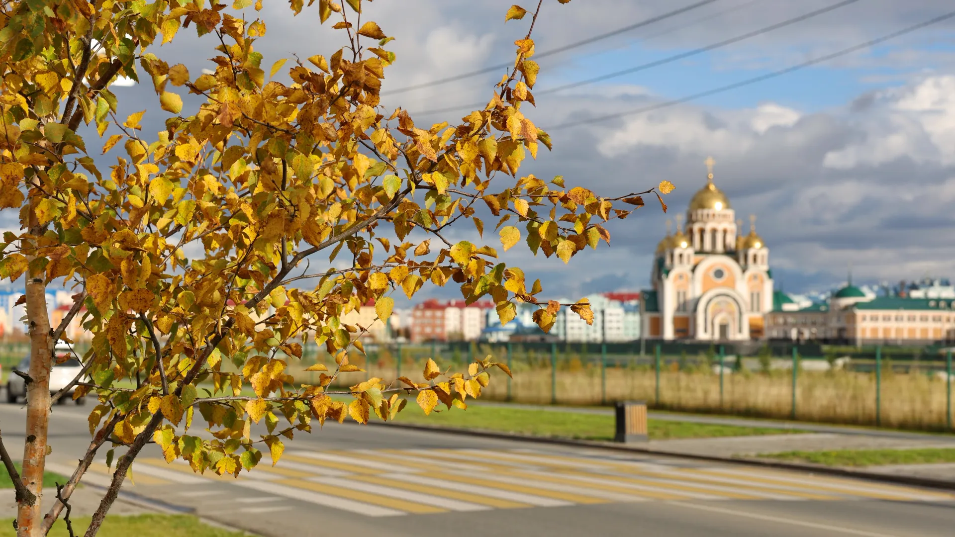 Фото: Андрей Ткачёв / «Ямал-Медиа»