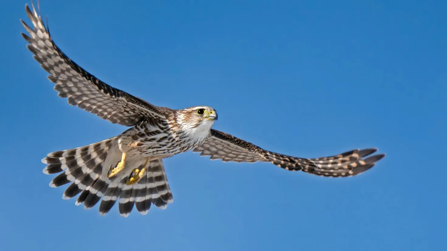 Фото: Rob Palmer Photography / Shutterstock / Fotodom