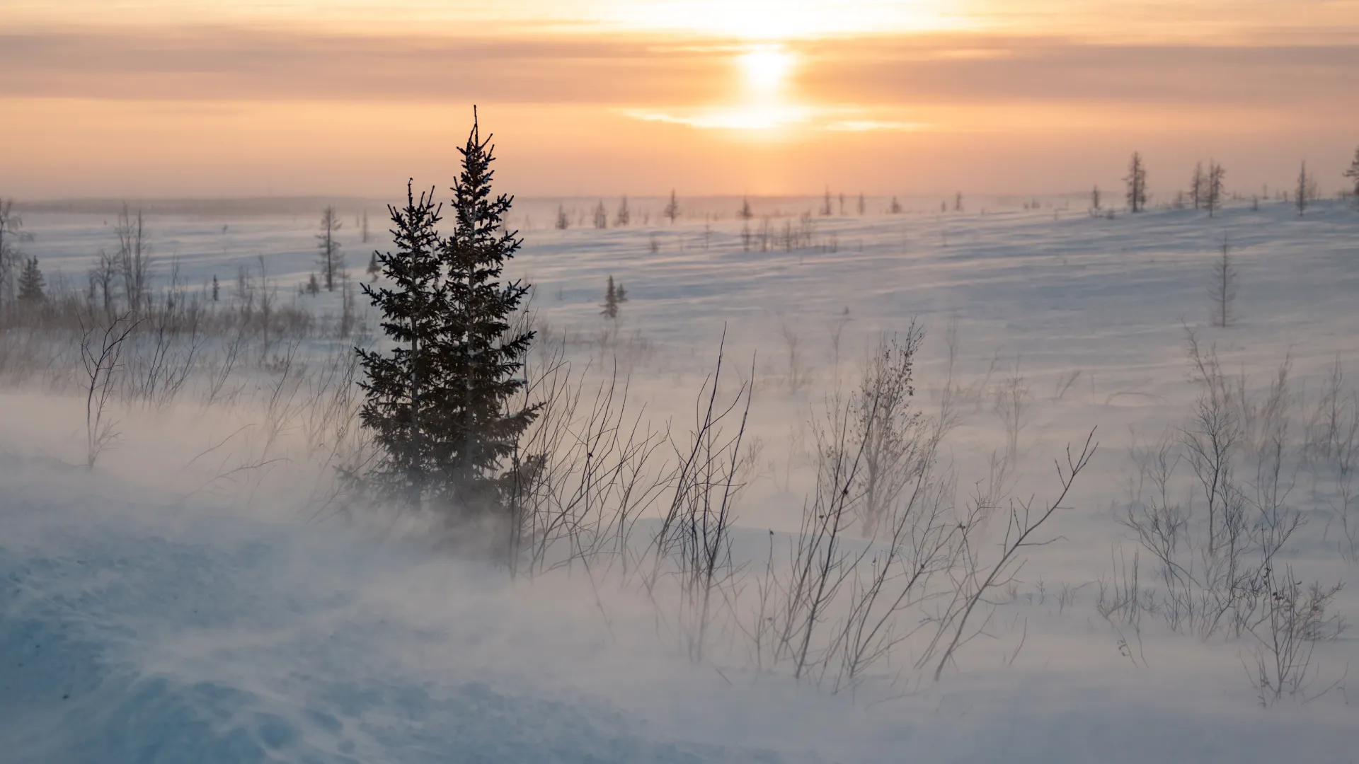 Фото: Сергей Зубков / «Ямал-Медиа»