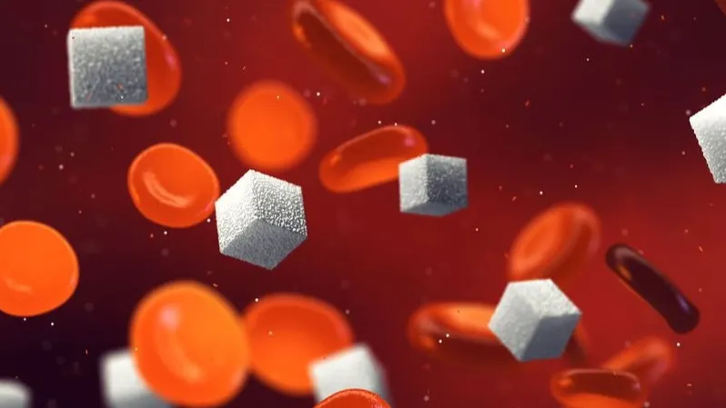 Фото: nobeastsofierce/Shutterstock/Fotodom