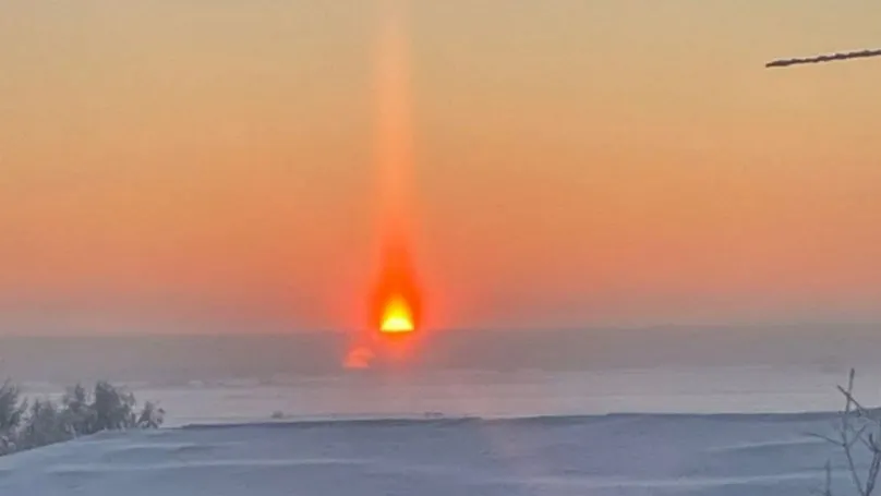 Фото: телеграм-канал Марины Тресковой / t.me/treskova_ma