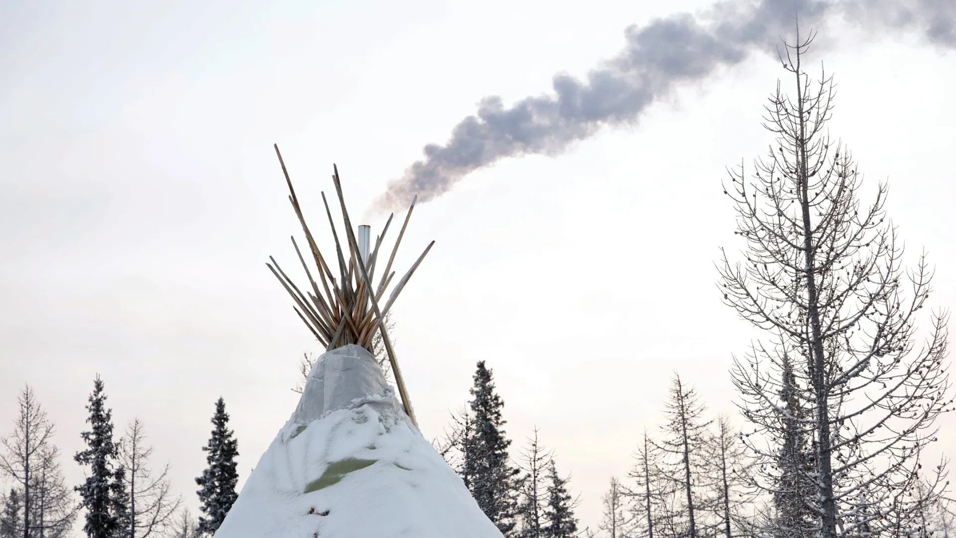 Фото: Василий Петров / «Ямал-Медиа»