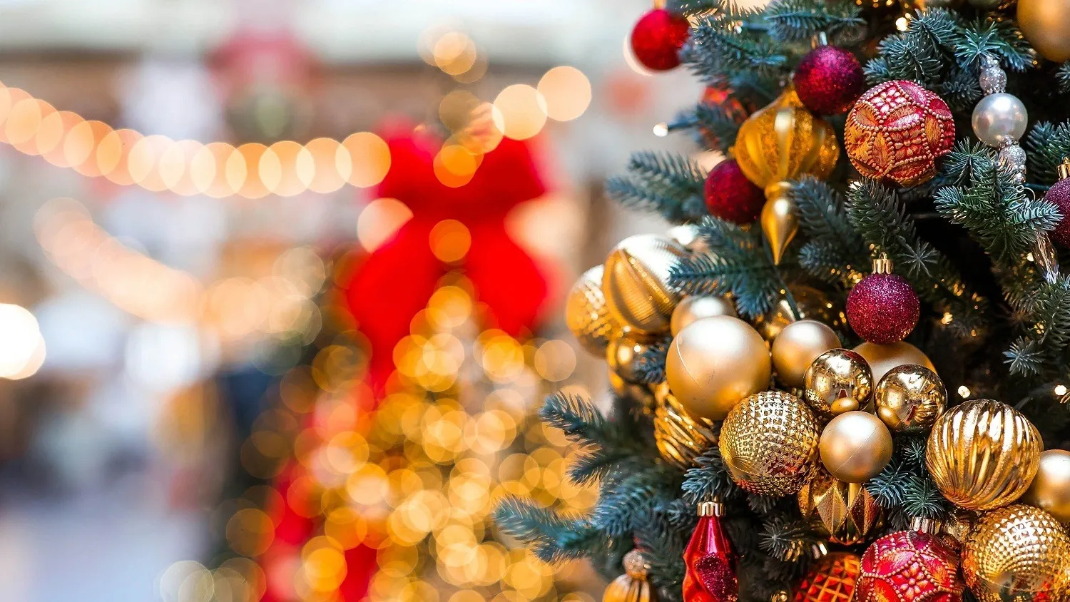 Фото: PhotoJuli86/Shutterstock/Fotodom