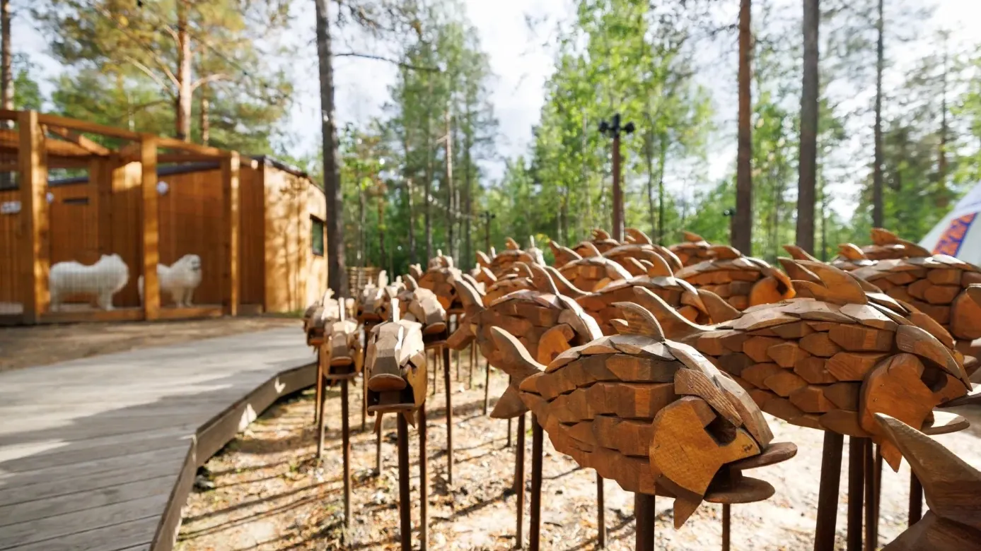 Фото: Юлия Чудинова / «Ямал-Медиа»