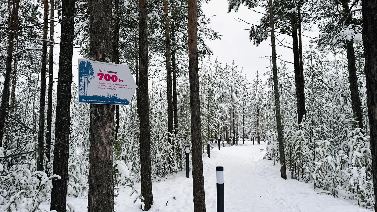 Никольский сквер в Губкинском. Фото: предоставлено пресс-службой губернатора ЯНАО