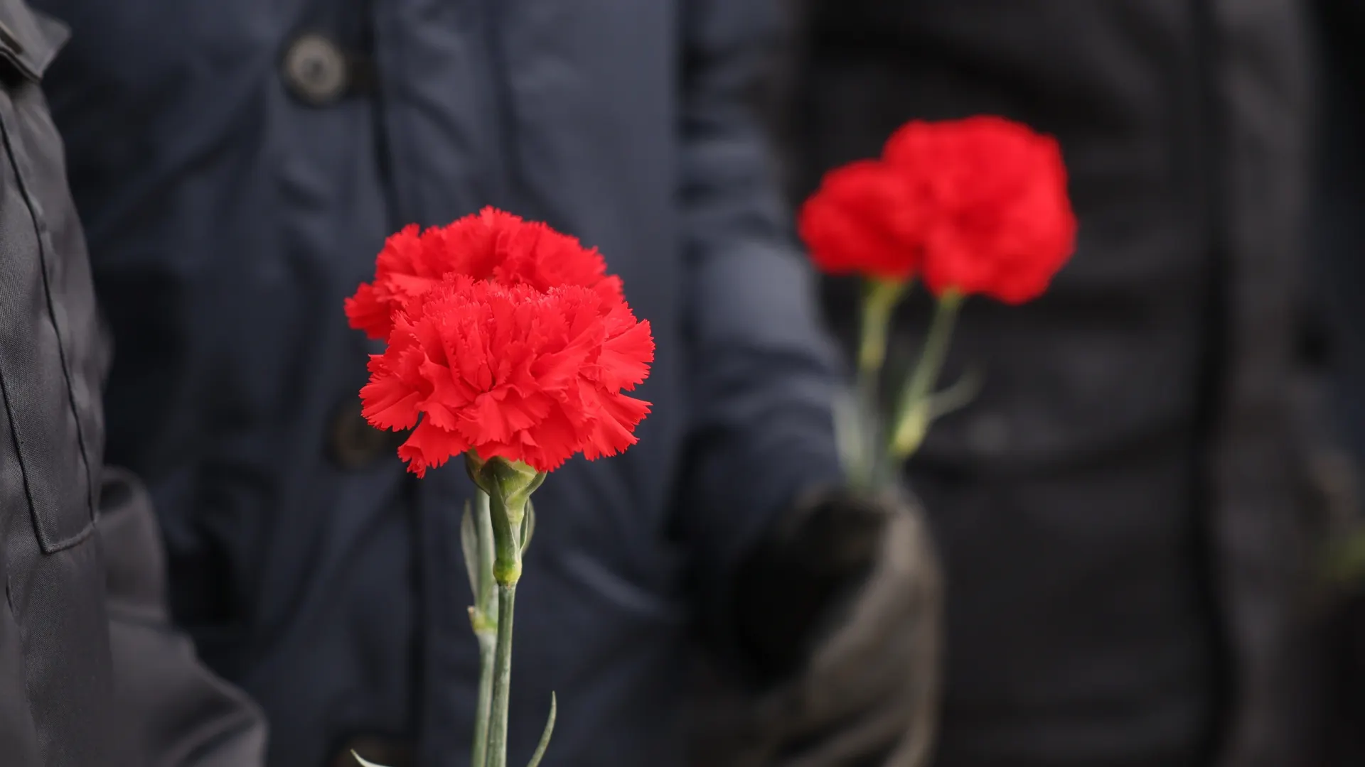 Фото: Андрей Ткачёв / АНО «Ямал-Медиа» Фото: Андрей Ткачёв / АНО «Ямал-Медиа»