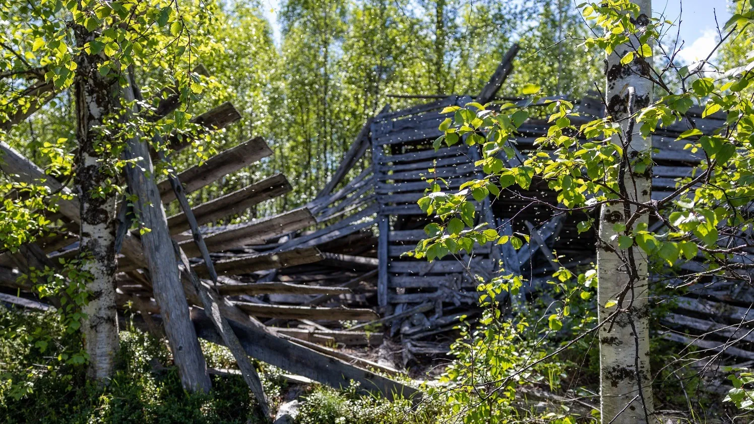 Фото: Фёдор Воронов / «Ямал-Медиа»