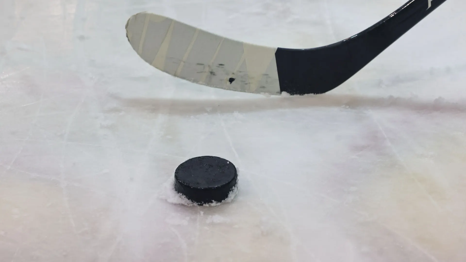 Фото: Андрей Ткачёв / «Ямал-Медиа»