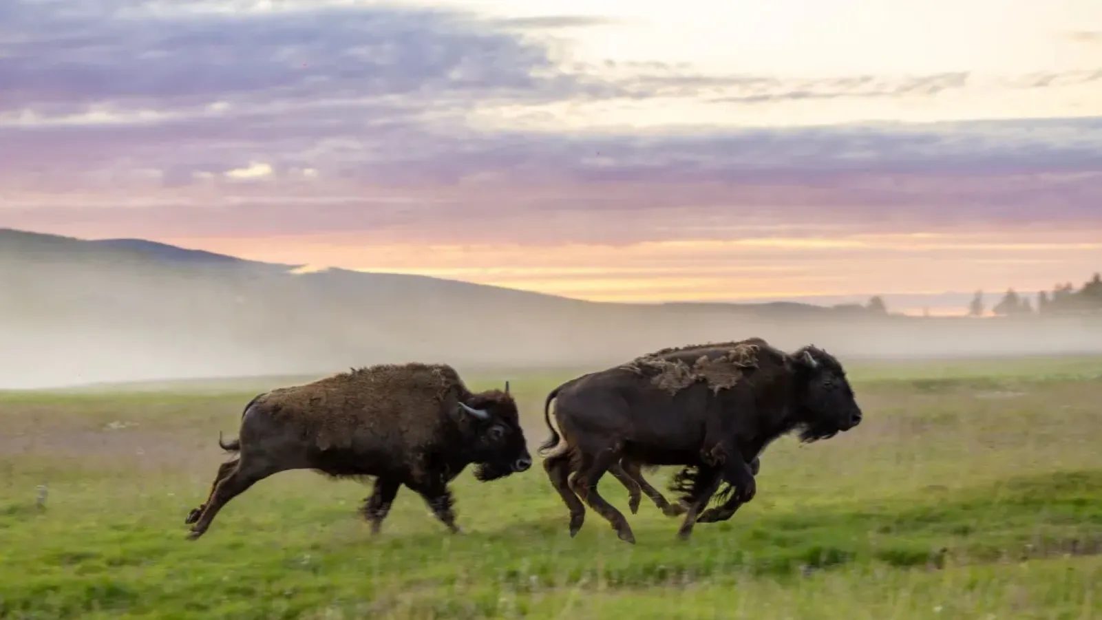 Фото: Юлия Чудинова / «Ямал-Медиа»
