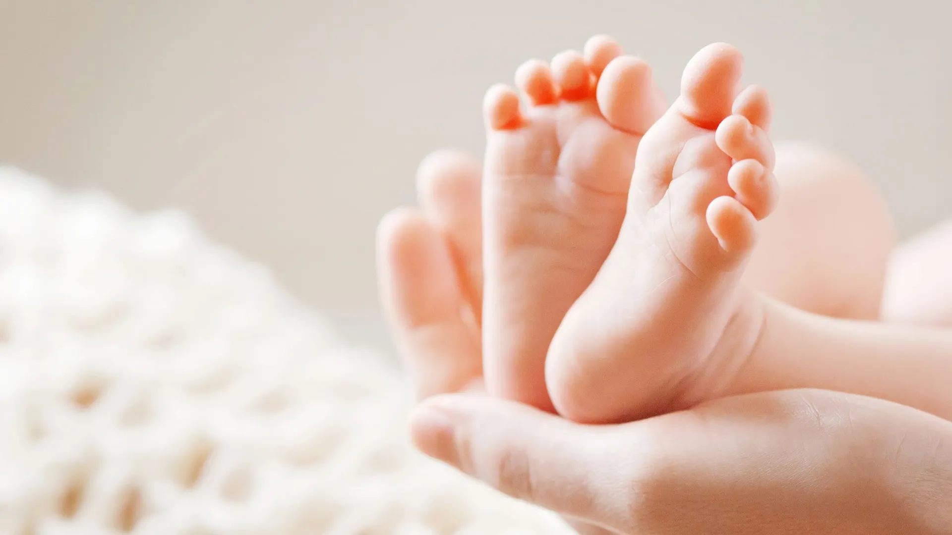 Фото: Liudmila Fadzeyeva/Shutterstock/Fotodom