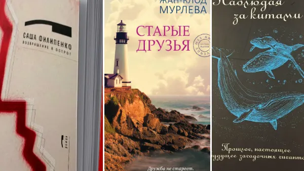 Фото: books.vremya.ru, litres.ru, vk.com/falanster_books.