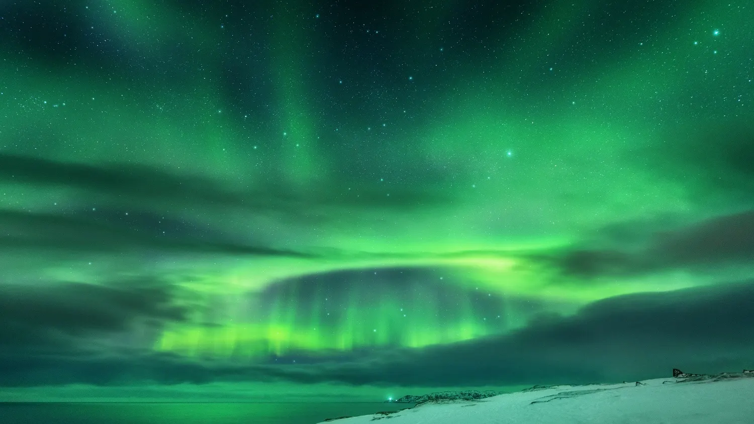 Фото: Denis Belitsky / shutterstock.com