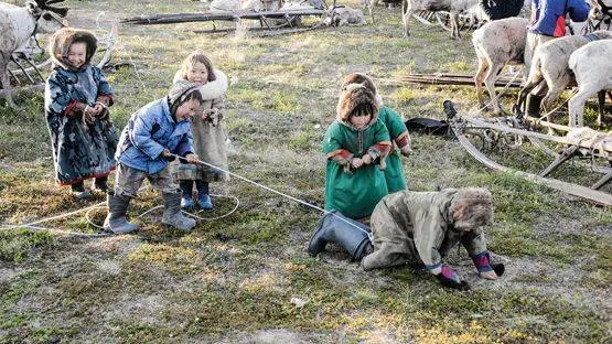   КРАСНЫЙ СЕВЕР