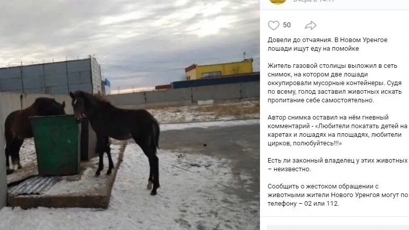 Скрин: группа «ЧП | ДТП | Новый Уренгой», «ВКонтакте»