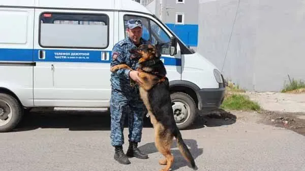 Фото предоставлено ОМВД России по г. Ноябрьску